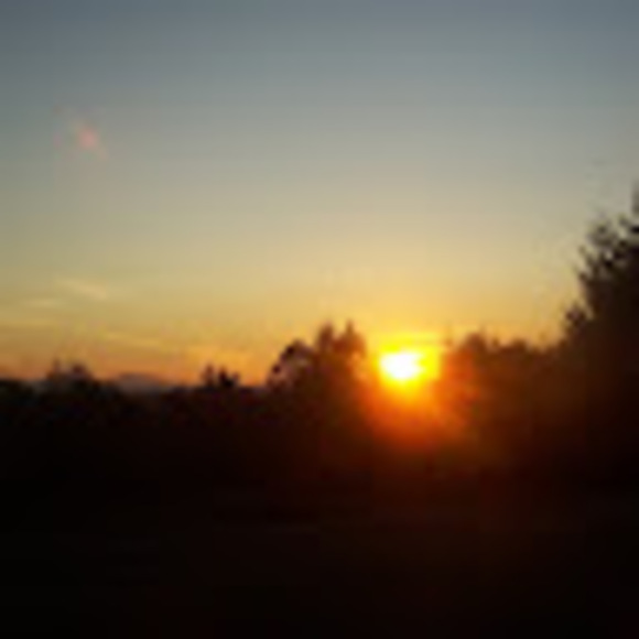 Meet the Posher Other - Meet your Posher, Quinn